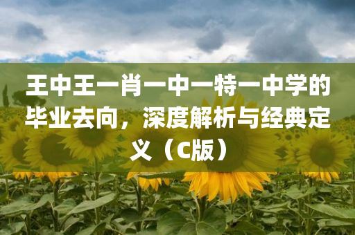 王中王一肖一中一特一中学的毕业去向，深度解析与经典定义（C版）