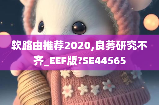 软路由推荐2020,良莠研究不齐_EEF版?SE44565