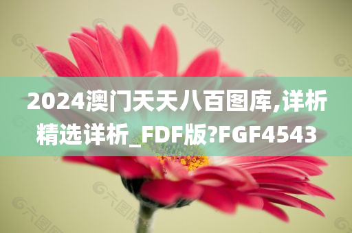 2024澳门天天八百图库,详析精选详析_FDF版?FGF4543