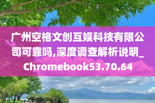 广州空格文创互娱科技有限公司可靠吗,深度调查解析说明_Chromebook53.70.64