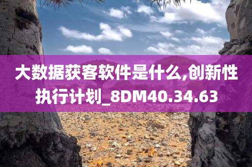 大数据获客软件是什么,创新性执行计划_8DM40.34.63