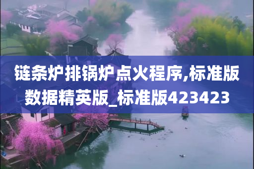 链条炉排锅炉点火程序,标准版数据精英版_标准版423423