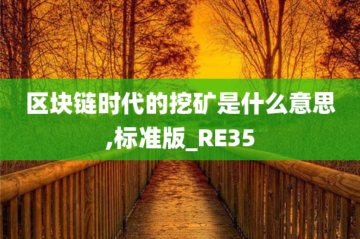 区块链时代的挖矿是什么意思,标准版_RE35