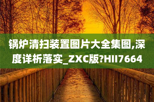 锅炉清扫装置图片大全集图,深度详析落实_ZXC版?HII7664