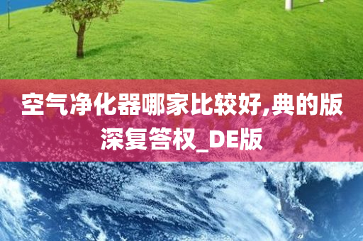 空气净化器哪家比较好,典的版深复答权_DE版