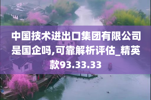 中国技术进出口集团有限公司是国企吗,可靠解析评估_精英款93.33.33