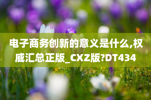 电子商务创新的意义是什么,权威汇总正版_CXZ版?DT434