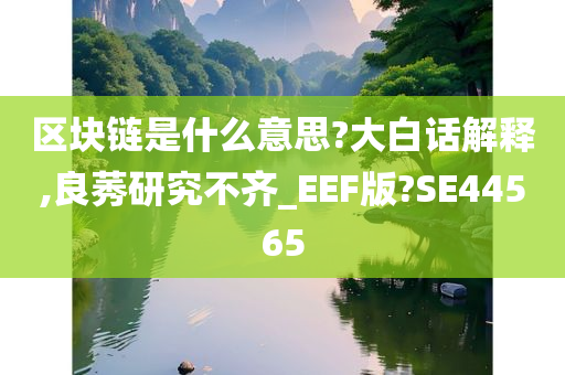 区块链是什么意思?大白话解释,良莠研究不齐_EEF版?SE44565