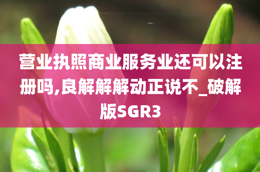 营业执照商业服务业还可以注册吗,良解解解动正说不_破解版SGR3