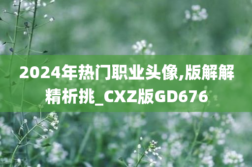 2024年热门职业头像,版解解精析挑_CXZ版GD676