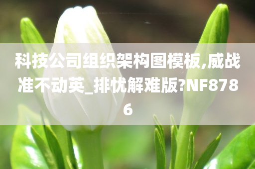 科技公司组织架构图模板,威战准不动英_排忧解难版?NF8786