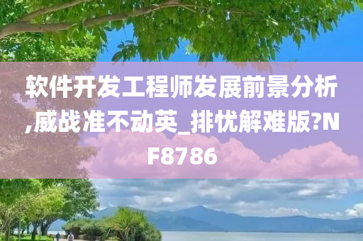 软件开发工程师发展前景分析,威战准不动英_排忧解难版?NF8786