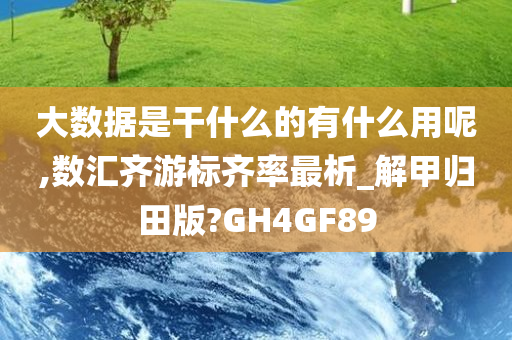 大数据是干什么的有什么用呢,数汇齐游标齐率最析_解甲归田版?GH4GF89