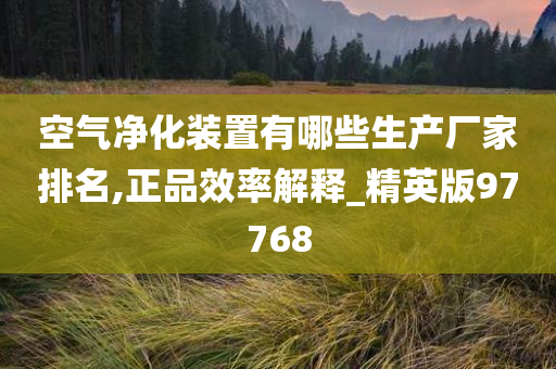 空气净化装置有哪些生产厂家排名,正品效率解释_精英版97768