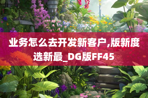 业务怎么去开发新客户,版新度选新最_DG版FF45