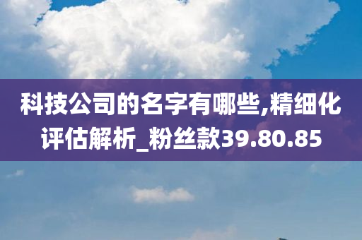 科技公司的名字有哪些,精细化评估解析_粉丝款39.80.85