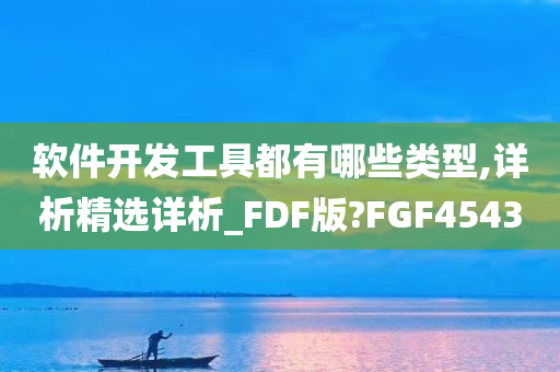 软件开发工具都有哪些类型,详析精选详析_FDF版?FGF4543