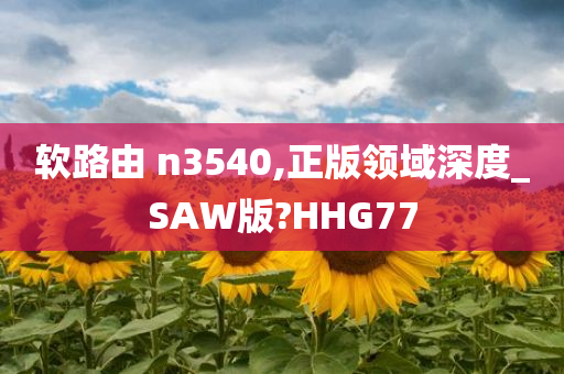 软路由 n3540,正版领域深度_SAW版?HHG77