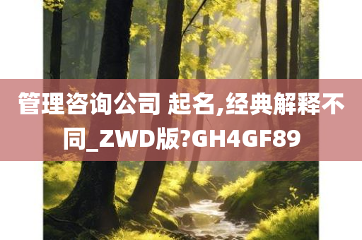 管理咨询公司 起名,经典解释不同_ZWD版?GH4GF89