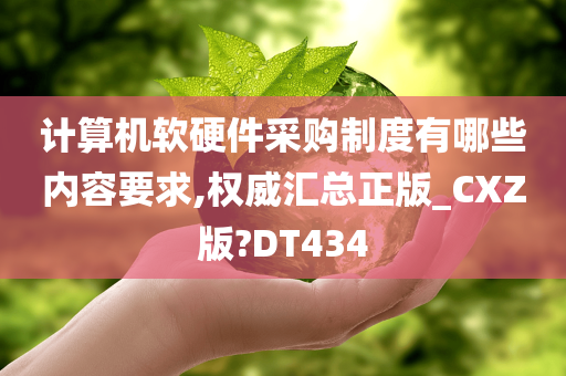 计算机软硬件采购制度有哪些内容要求,权威汇总正版_CXZ版?DT434