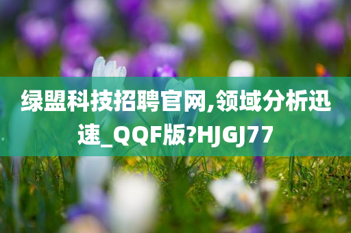 绿盟科技招聘官网,领域分析迅速_QQF版?HJGJ77