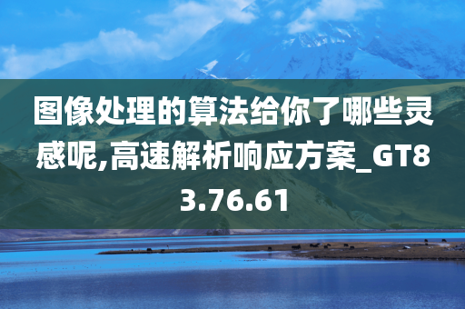 图像处理的算法给你了哪些灵感呢,高速解析响应方案_GT83.76.61