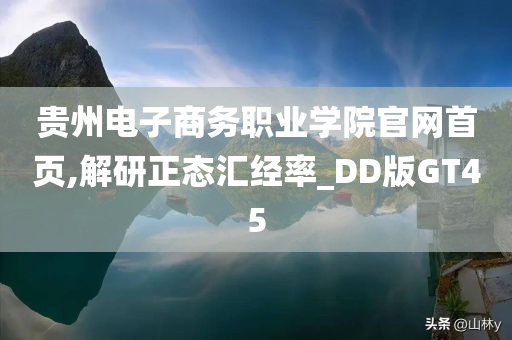 贵州电子商务职业学院官网首页,解研正态汇经率_DD版GT45