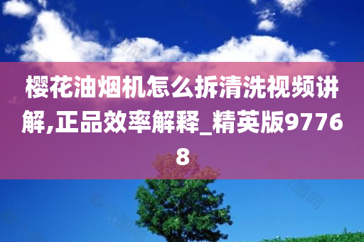 樱花油烟机怎么拆清洗视频讲解,正品效率解释_精英版97768