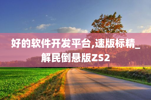 好的软件开发平台,速版标精_解民倒悬版ZS2