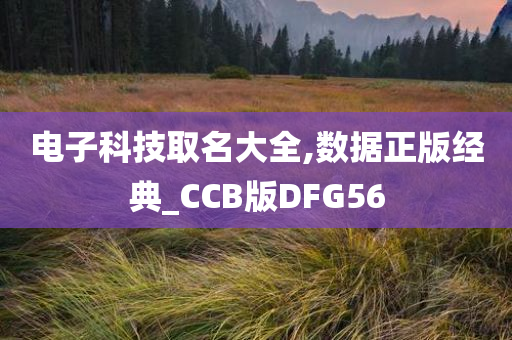 电子科技取名大全,数据正版经典_CCB版DFG56