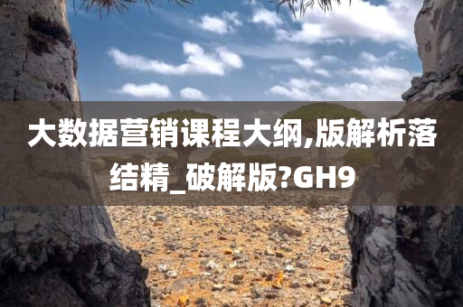 大数据营销课程大纲,版解析落结精_破解版?GH9