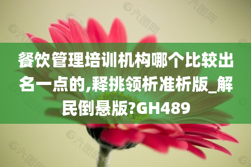 餐饮管理培训机构哪个比较出名一点的,释挑领析准析版_解民倒悬版?GH489