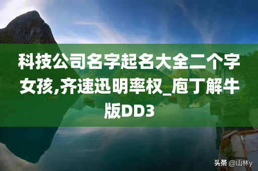 科技公司名字起名大全二个字女孩,齐速迅明率权_庖丁解牛版DD3