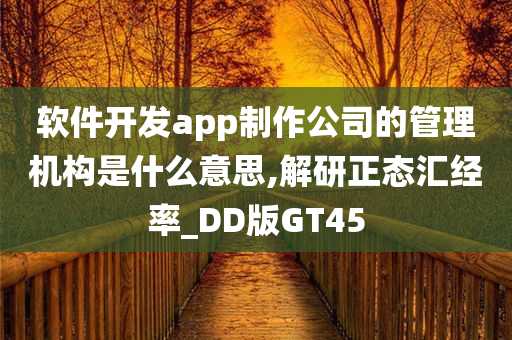 软件开发app制作公司的管理机构是什么意思,解研正态汇经率_DD版GT45