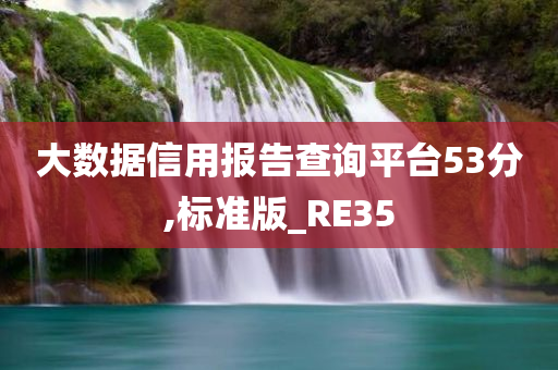 大数据信用报告查询平台53分,标准版_RE35