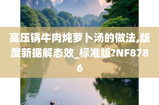 高压锅牛肉炖萝卜汤的做法,版度新据解态效_标准版?NF8786