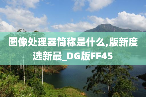 图像处理器简称是什么,版新度选新最_DG版FF45