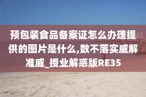 预包装食品备案证怎么办理提供的图片是什么,数不落实威解准威_授业解惑版RE35