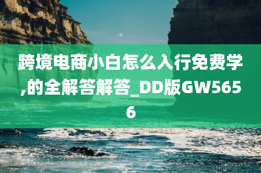 跨境电商小白怎么入行免费学,的全解答解答_DD版GW5656