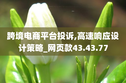 跨境电商平台投诉,高速响应设计策略_网页款43.43.77