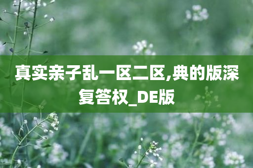 真实亲子乱一区二区,典的版深复答权_DE版