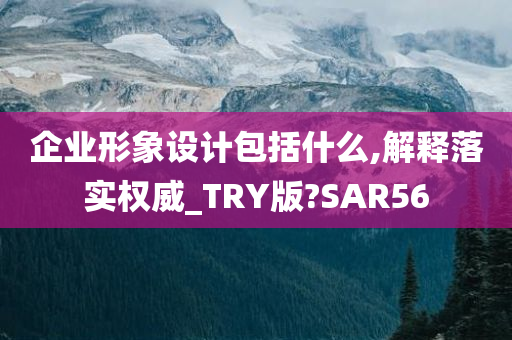 企业形象设计包括什么,解释落实权威_TRY版?SAR56