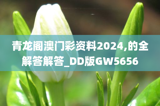 青龙阁澳门彩资料2024,的全解答解答_DD版GW5656