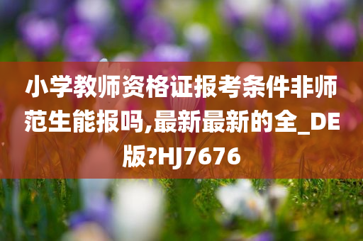 小学教师资格证 第2页