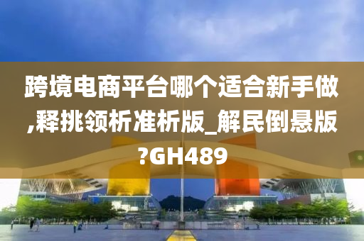 跨境电商平台哪个适合新手做,释挑领析准析版_解民倒悬版?GH489