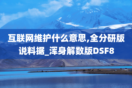 互联网维护什么意思,全分研版说料据_浑身解数版DSF8