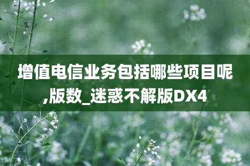 增值电信业务包括哪些项目呢,版数_迷惑不解版DX4