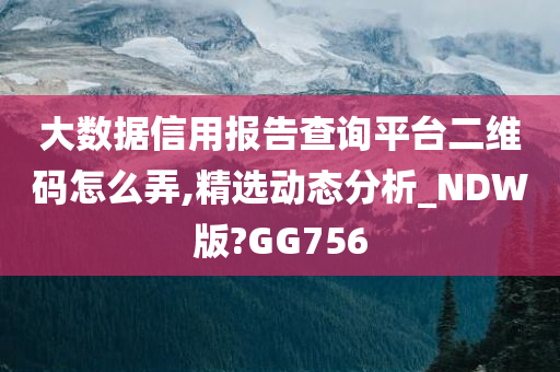 大数据信用报告查询平台二维码怎么弄,精选动态分析_NDW版?GG756