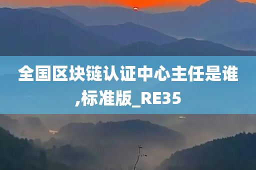 全国区块链认证中心主任是谁,标准版_RE35