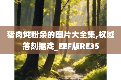 猪肉炖粉条的图片大全集,权域落刻据戏_EEF版RE35